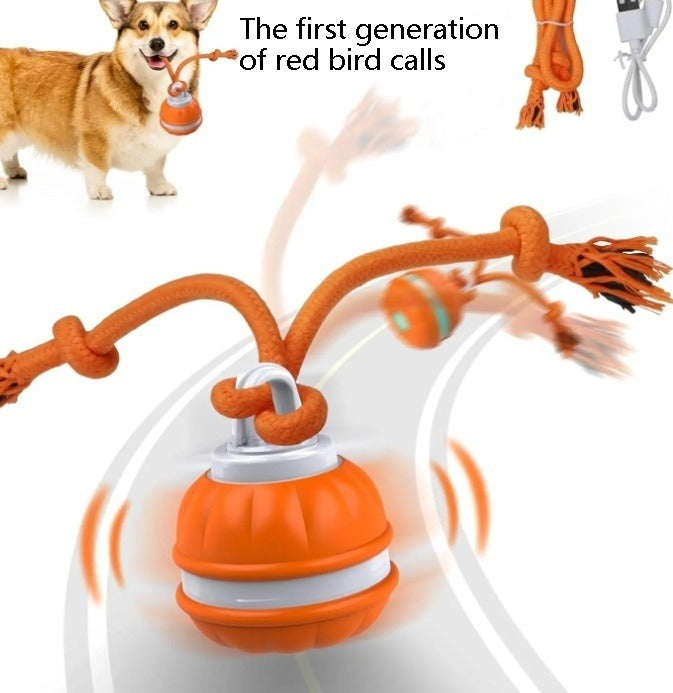 Interactive Pet Rolling Ball Toy USB Rechargeable — product image 8