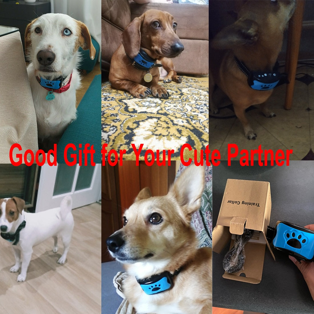 Ultrasonic Anti-Bark Dog Training Collar — product image 2
