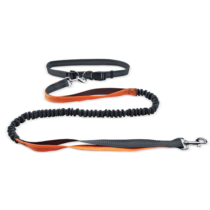 Dog Walking Belt with Detachable Shockproof Leash — product image 3