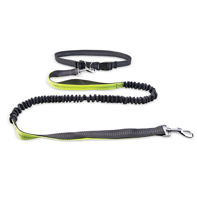 Dog Walking Belt with Detachable Shockproof Leash — product image 2