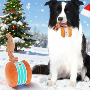 Interactive Pet Rolling Ball Toy USB Rechargeable — product image 15