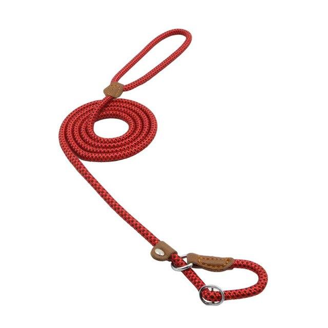 Nylon Pup Set — product image