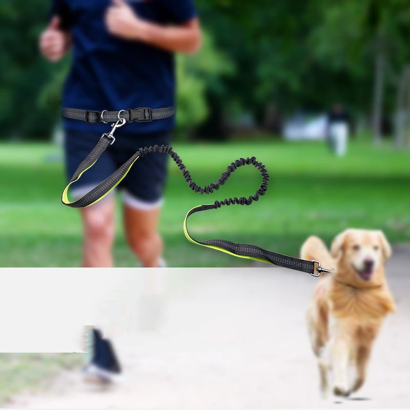 Dog Walking Belt with Detachable Shockproof Leash — product image