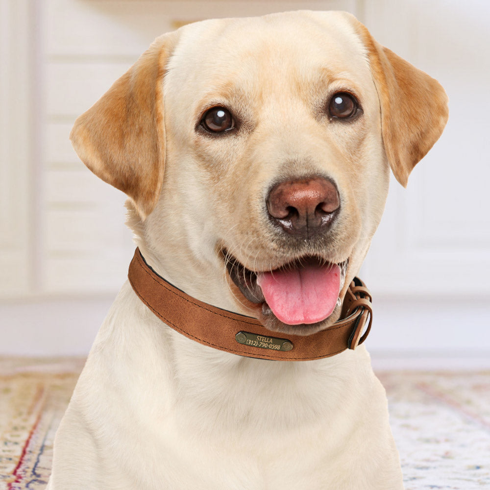 Custom Engraved Leather Dog Collar Personalized Dog Collar Gift for Pet Lover — product image