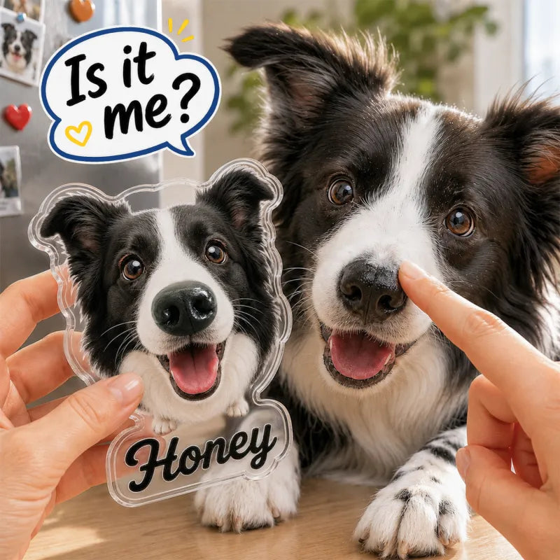 Custom Dog Nose Squishy Fridge Magnet Sticker – Personalized Pet Nose Squeeze Toy with Custom Face & Name — product image