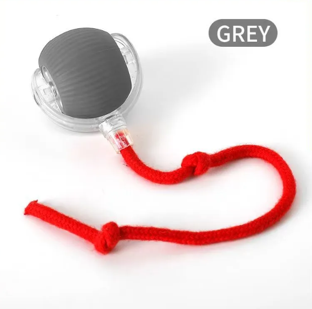 PurrPlay Self-Rolling Cat Toy Ball — product image 5