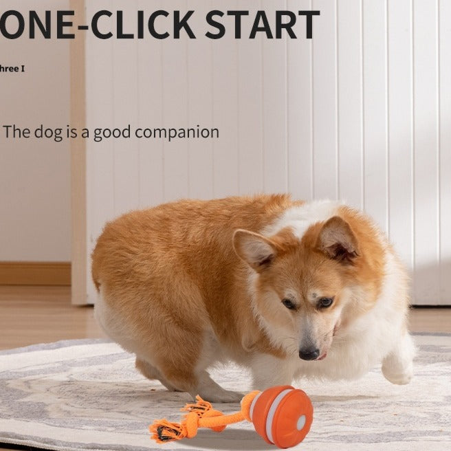 Interactive Pet Rolling Ball Toy USB Rechargeable — product image