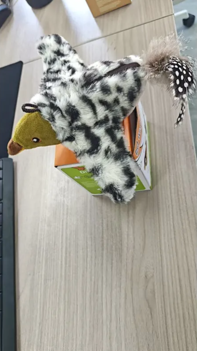 Plush Bird Pet Toy — product image 5