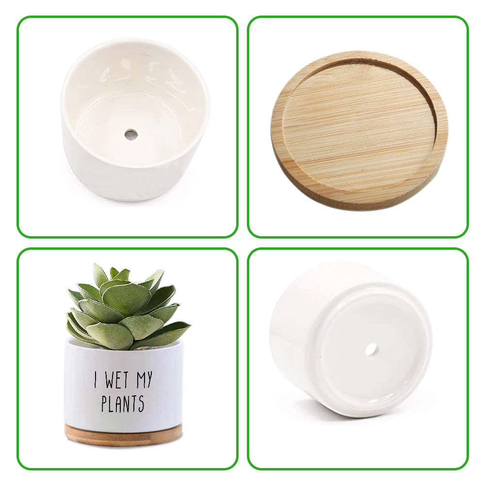 Custom Flower Planter Pot Personalized Text Ceramic Succulent Plant Pot — product image 3