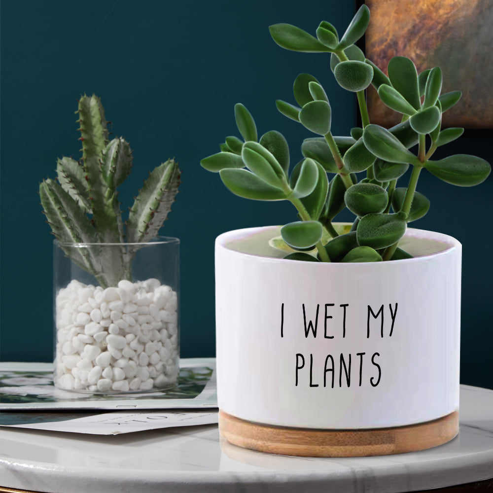 Custom Flower Planter Pot Personalized Text Ceramic Succulent Plant Pot — product image 2